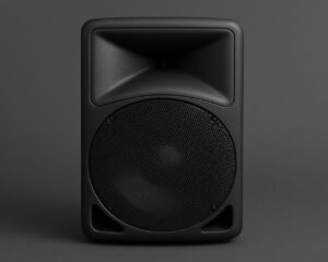 Speaker hire Rotorua – FBT J12 loudspeaker